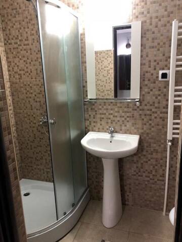 Фото номера Двухместный номер Делюкс с 1 кроватью и душем Гостевой дом Casa Alis г. Орадя 3