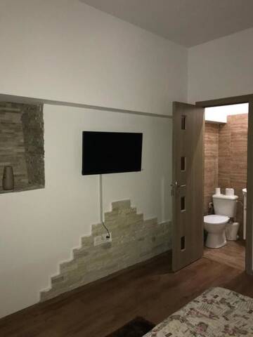 Фото номера Апартаменты Делюкс Гостевой дом Regim Hotelier Pietonală г. Орадя 7