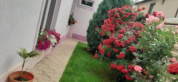 Фото номера Дом с 2 спальнями Дома для отпуска Casa Bia г. Орадя 55