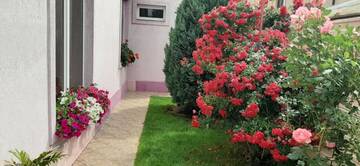Фото номера Дом с 2 спальнями Дома для отпуска Casa Bia г. Орадя 54