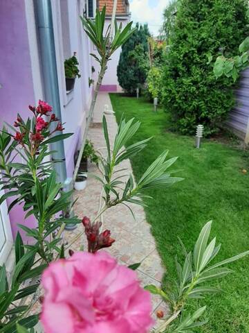 Фото номера Дом с 2 спальнями Дома для отпуска Casa Bia г. Орадя 20