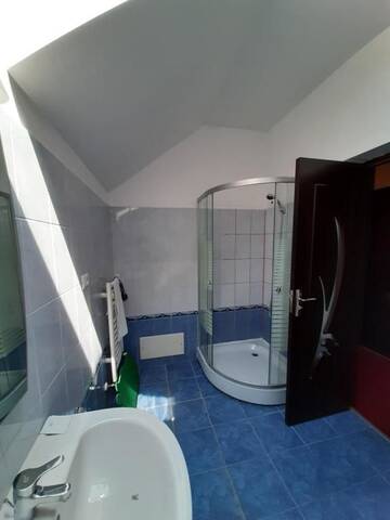 Фото номера Вилла с 3 спальнями Виллы Vila Ana-Maria г. Орадя 71