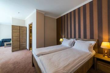 Фото номера Люкс с 1 спальней (4 взрослых) Отель Sky Hotel г. Орадя 2