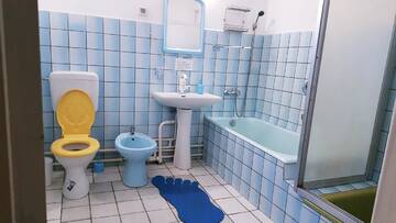 Фото номера Апартаменты Проживание в семье Casa Marvik г. Орадя 7