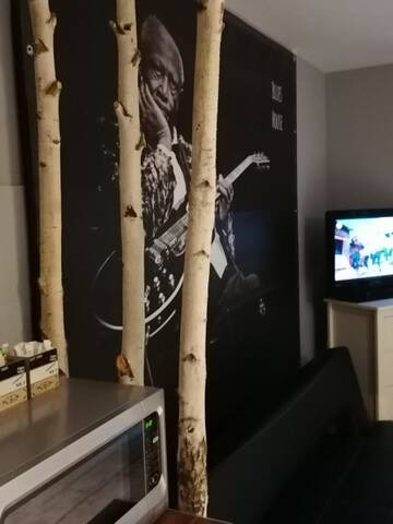 Фото номера Апартаменты-студио Апарт-отели Blues House г. Орадя 38