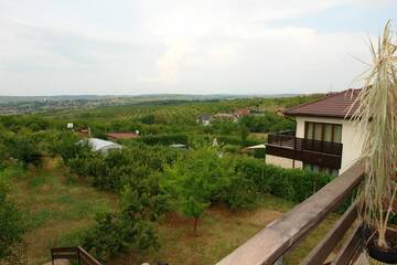 Фото номера Двухместный номер с 1 кроватью Гостевой дом Casa Tomson г. Орадя 65